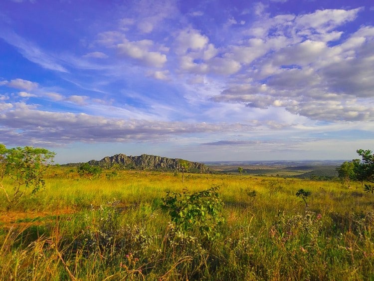 The Cerrado in Brazil