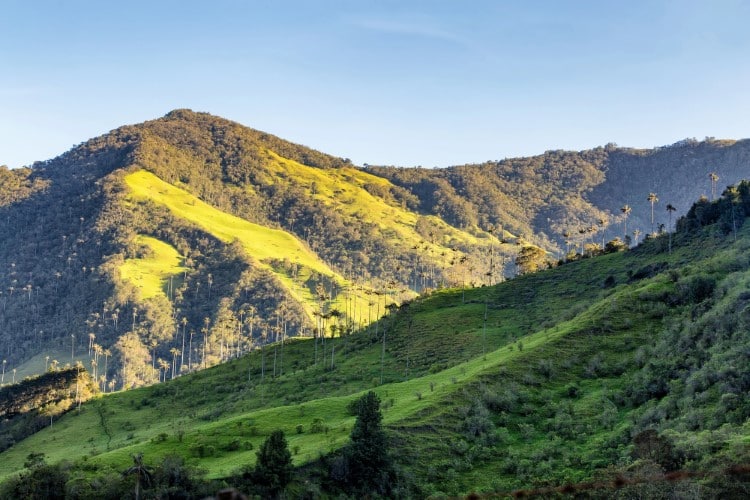 Deforestation in Colombia in Decline