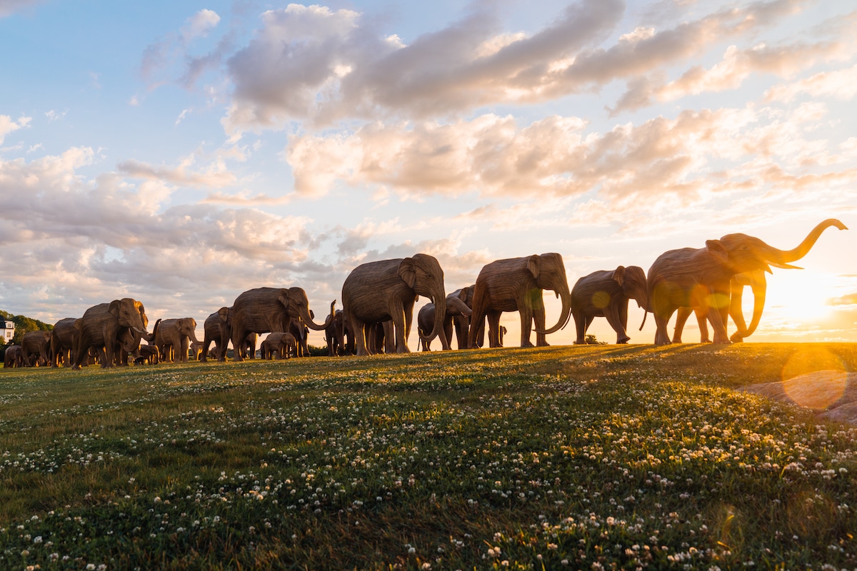 The Great Elephant Migration Sculptures by The Elephant Family and Art&Newport