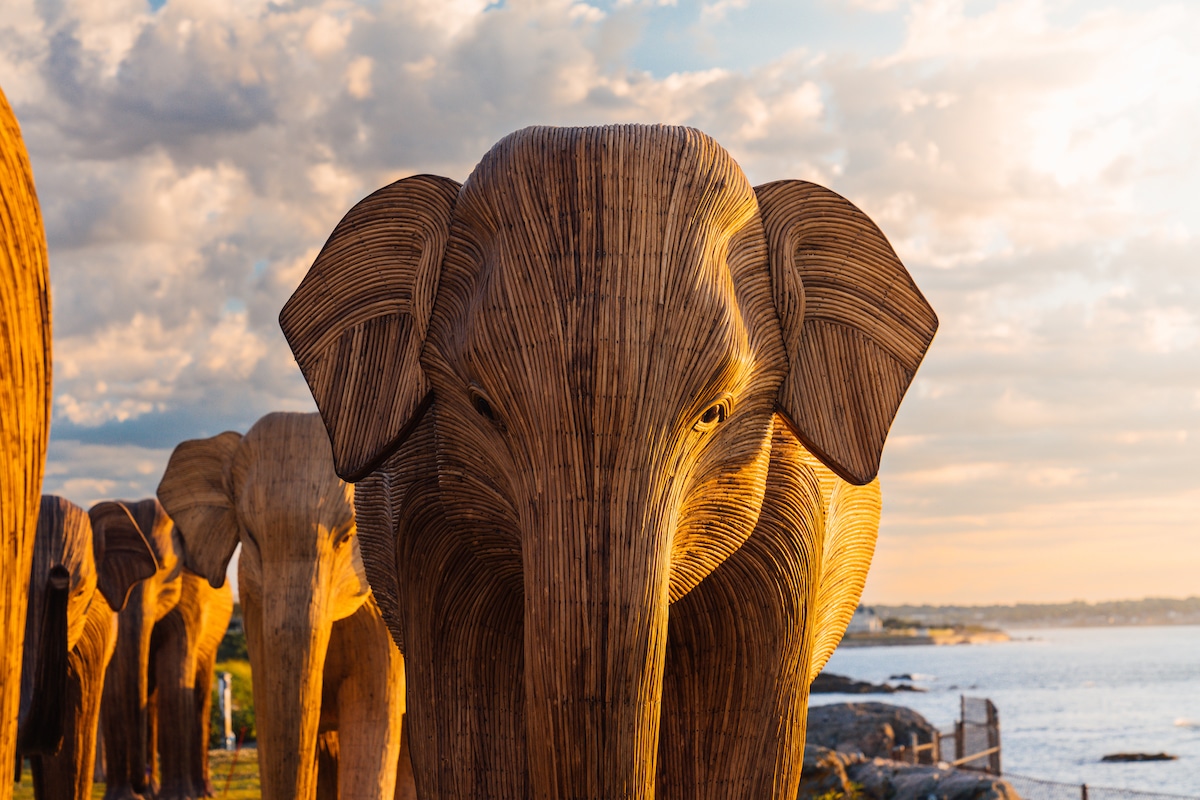 The Great Elephant Migration Sculptures by The Elephant Family and Art&Newport