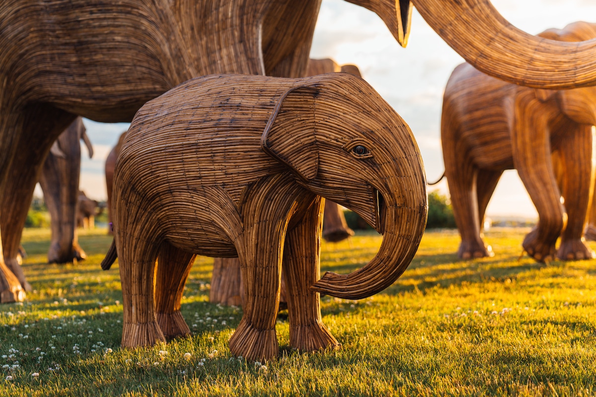 The Great Elephant Migration Sculptures by The Elephant Family and Art&Newport