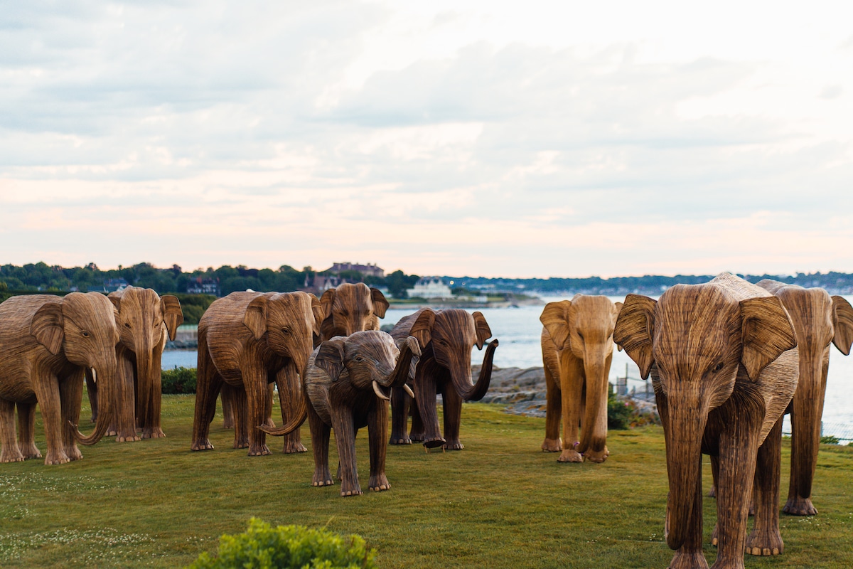 The Great Elephant Migration Sculptures by The Elephant Family and Art&Newport