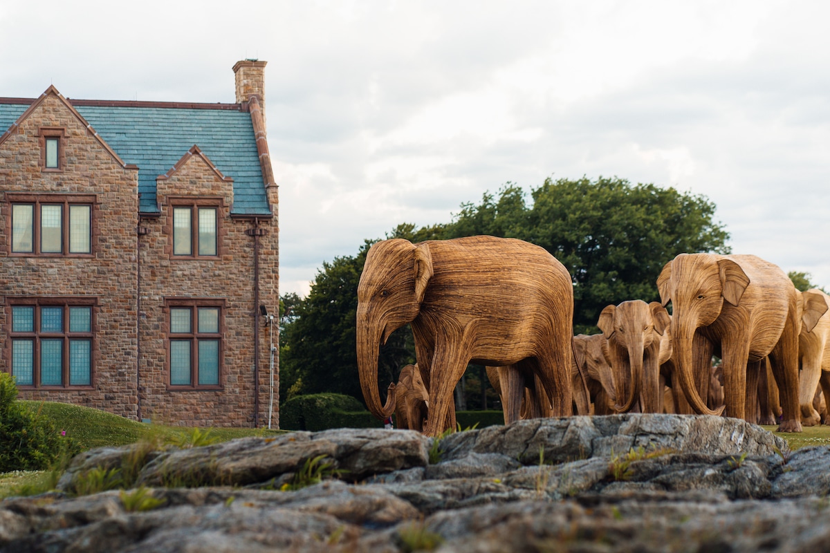 The Great Elephant Migration Sculptures by The Elephant Family and Art&Newport