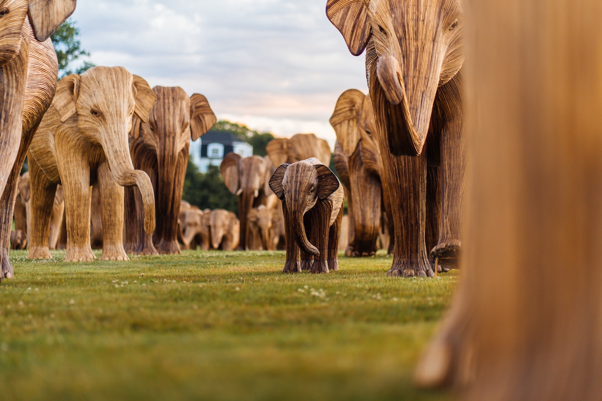 The Great Elephant Migration Sculptures by The Elephant Family and Art&Newport