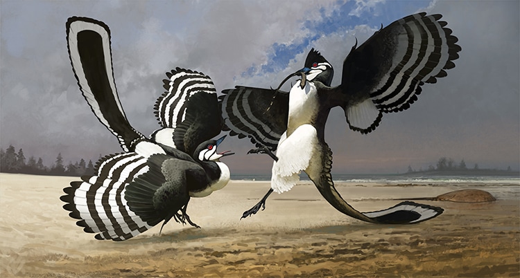 Illustration of Archaeopteryx