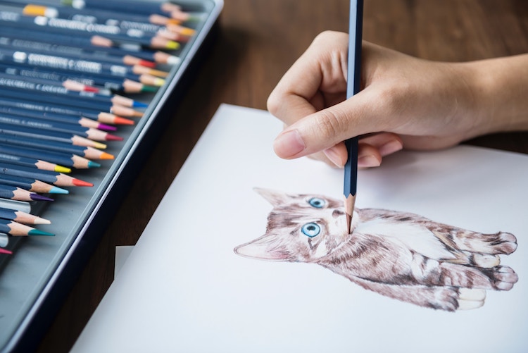 How to Draw a Cat