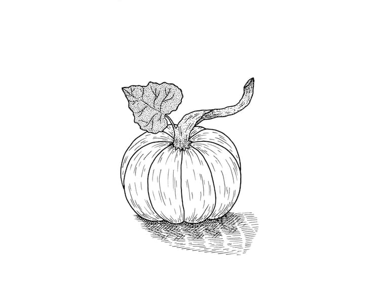 How to Draw a Pumpkin