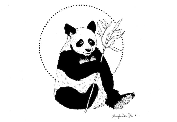 How to Draw a Panda