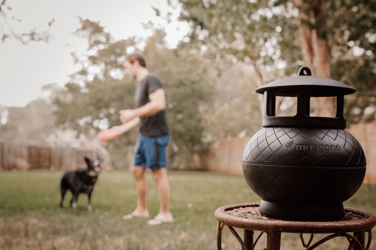 Mosgone, mosquito trap, on a table with a man and a dog in the background