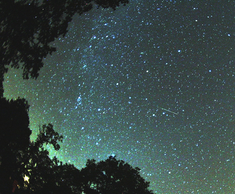 Perseid Meteor Shower Will Be Impressive in August 2024